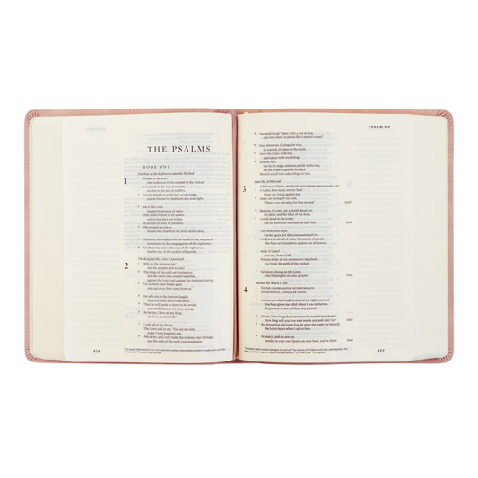 Shiloh ESV Journaling Bible